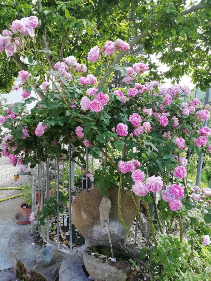 Bed and Breakfast Cit Ni Bosia Exterior foto