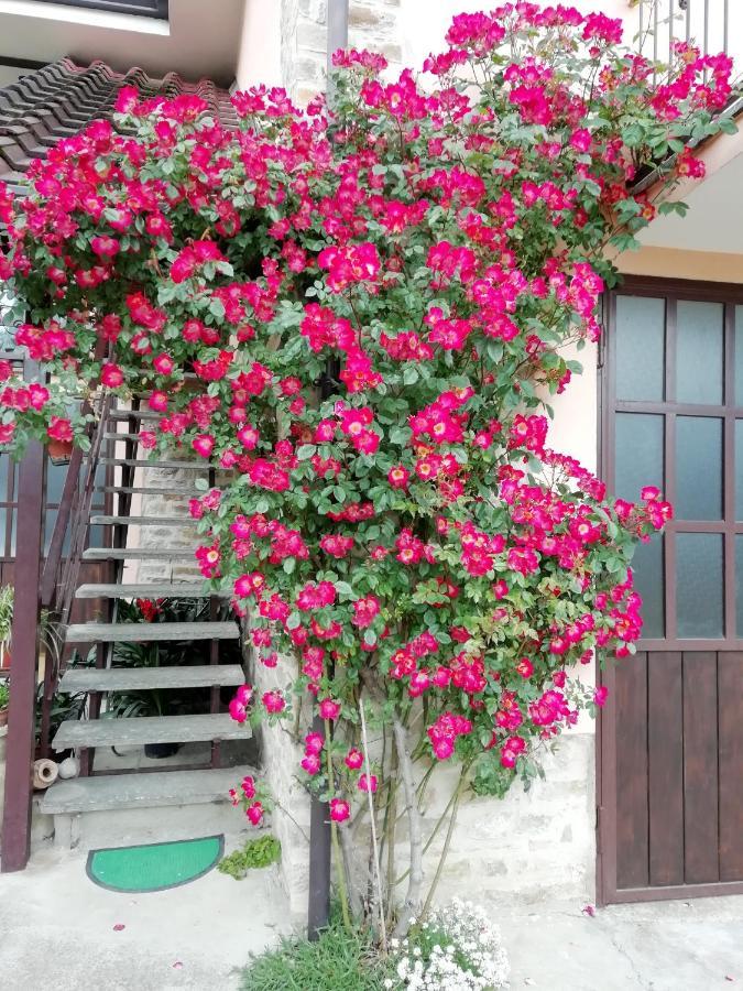 Bed and Breakfast Cit Ni Bosia Exterior foto