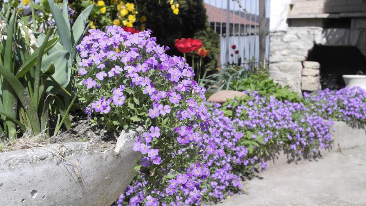 Bed and Breakfast Cit Ni Bosia Exterior foto